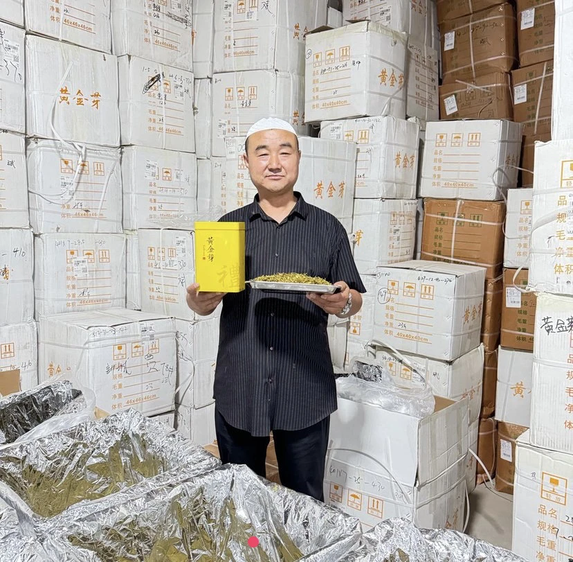 明前黄金芽春茶2024新茶+4