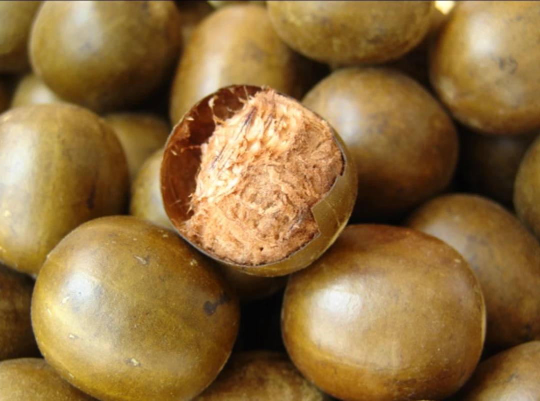 《罗汉果》超大果，泡水喝，甜甜口感