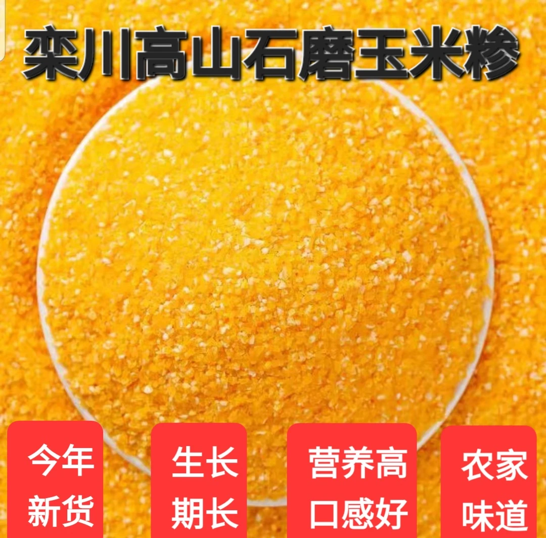 栾川高山石磨玉米糁纯天然无添加五谷杂粮粗粮特色农产品玉米