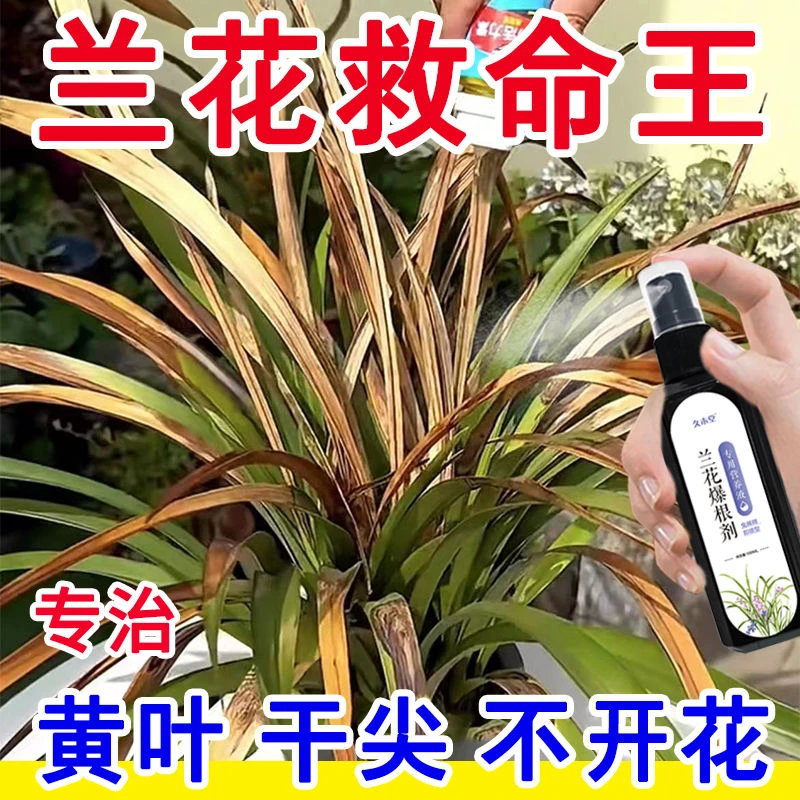 黄叶急救】兰花营养液爆根剂催根促苞防枯萎不开花通用有机肥料