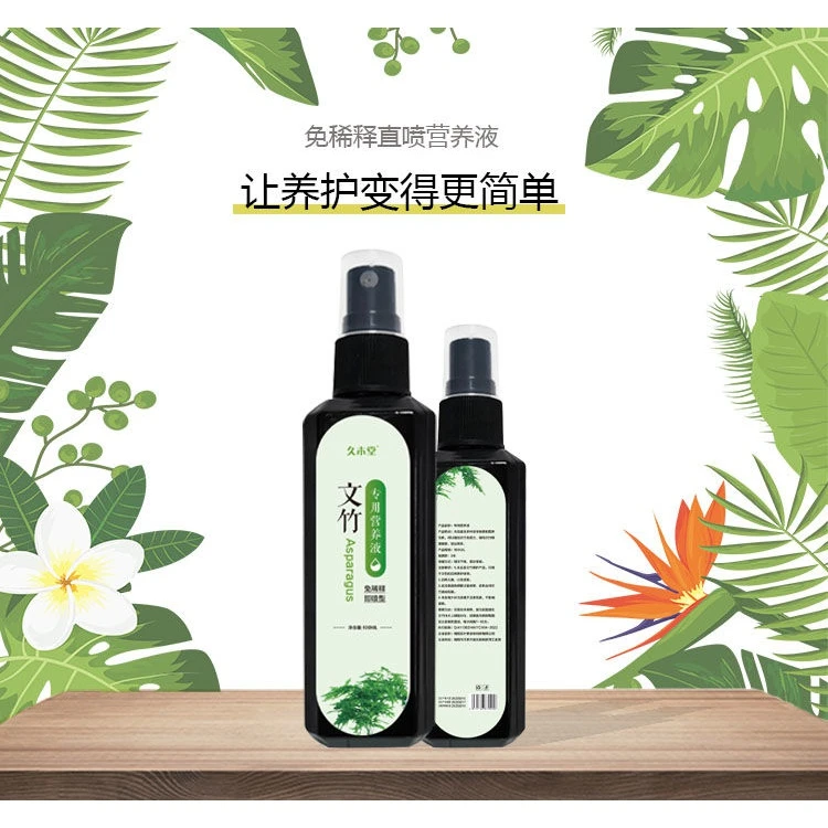 【拯救】文竹营养液一喷绿专用肥叶子发黄干尖枯瘦烂根落叶促生长