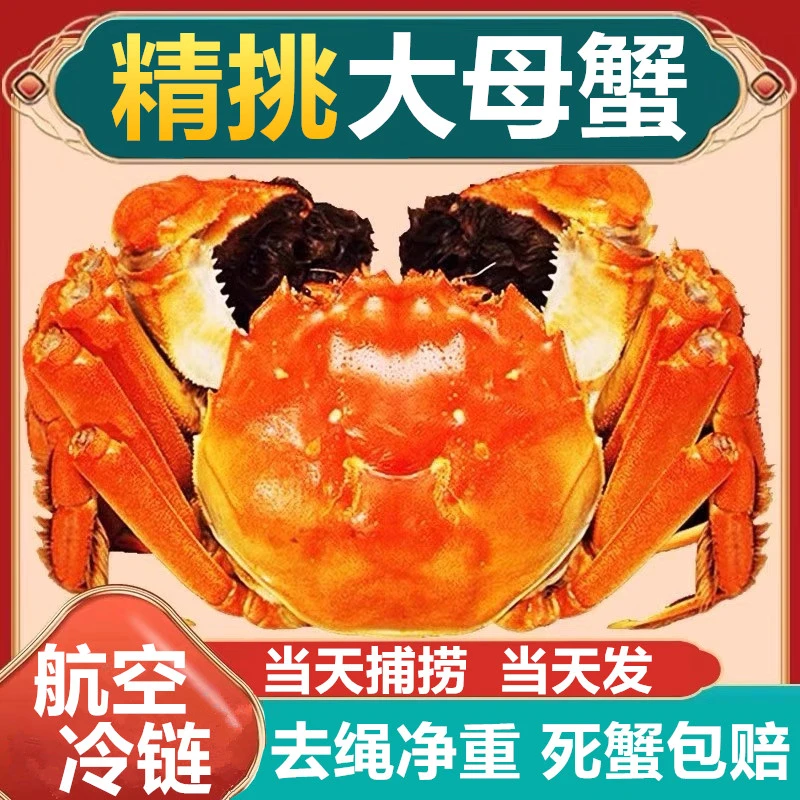 【活蟹现发】江苏精挑大闸蟹全母蟹2.6-2.3两10/6只鲜活大螃蟹礼盒