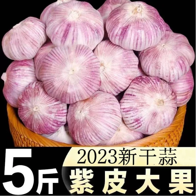 【半价抢五斤】紫皮大蒜头干蒜大蒜头农家干蒜新货大蒜香干蒜批发