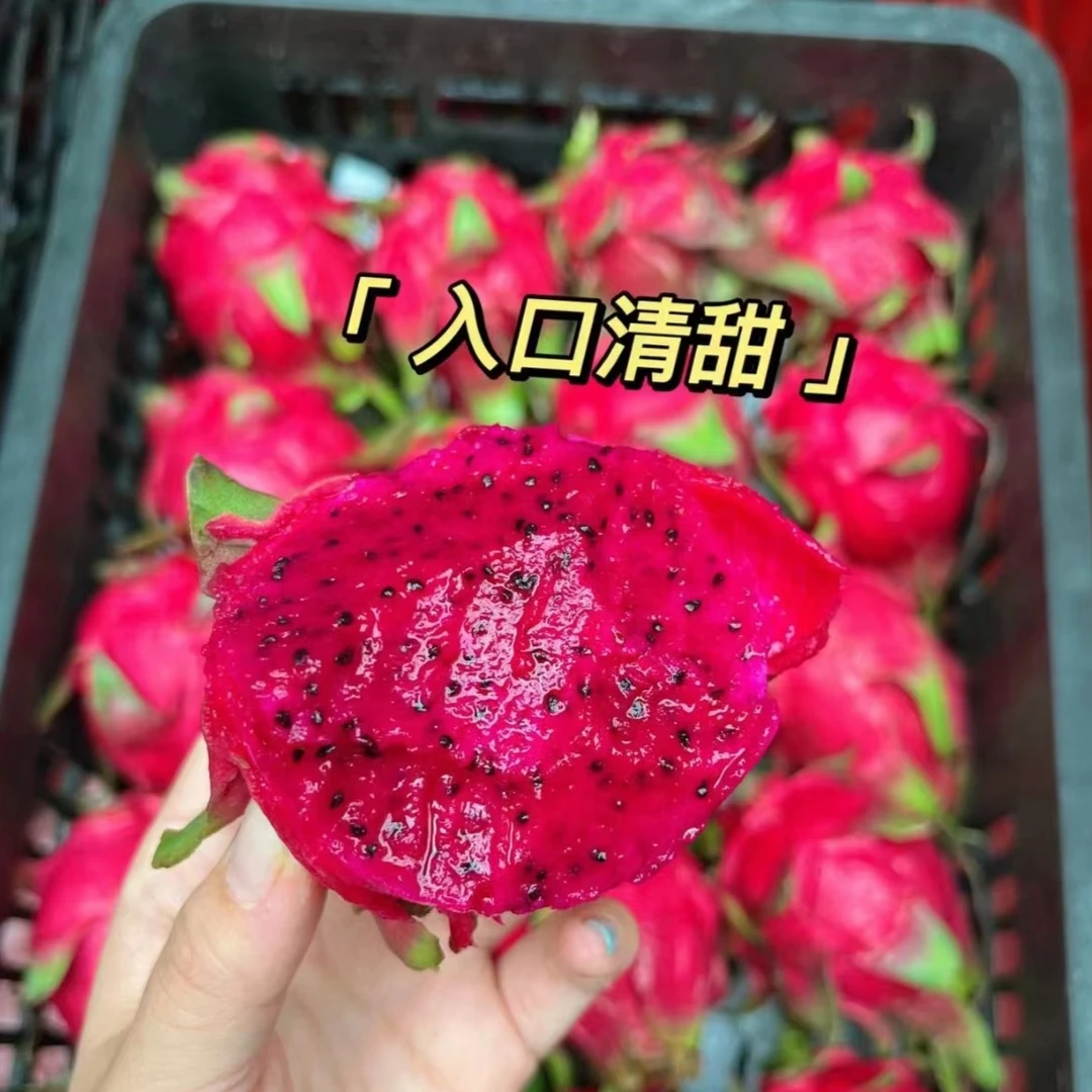 【济宁源尚】红心火龙果10枚装,树上熟蜜宝新鲜营养饱满美味