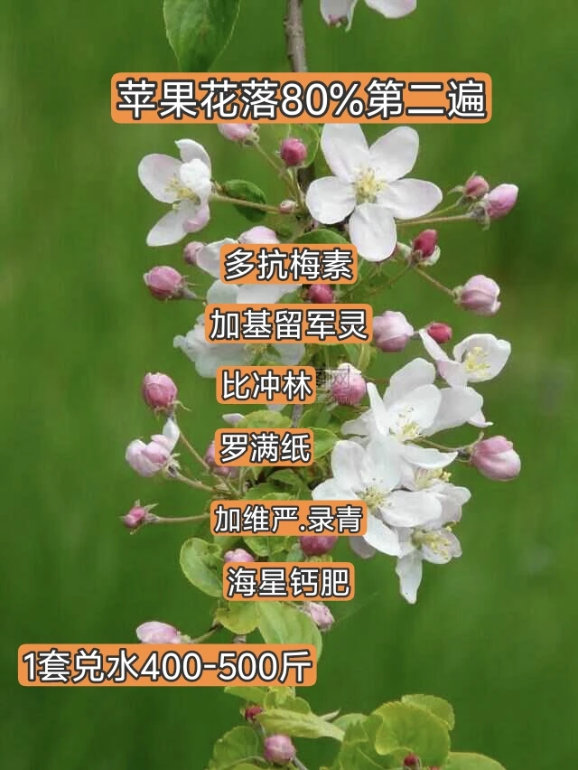 叶面肥（苹果花落第二遍）