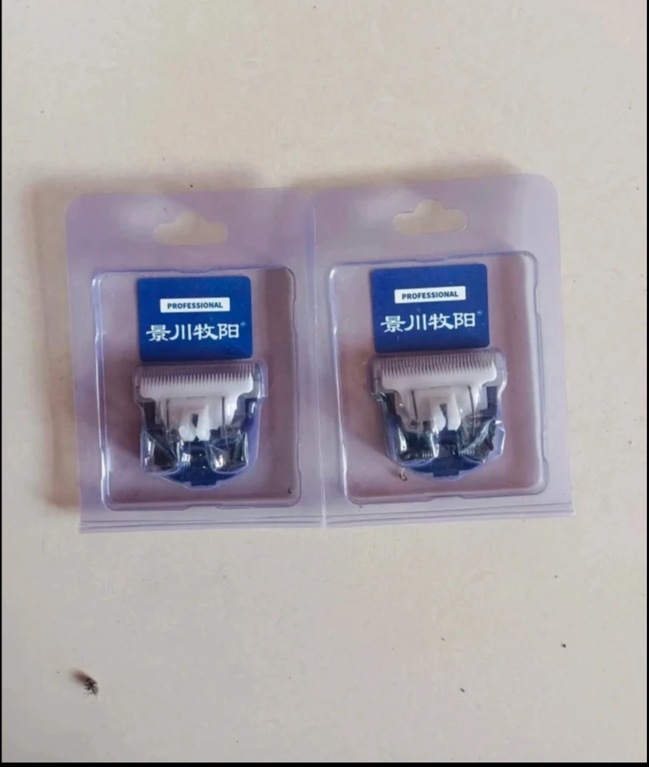 景川牧阳绒山羊剪推头