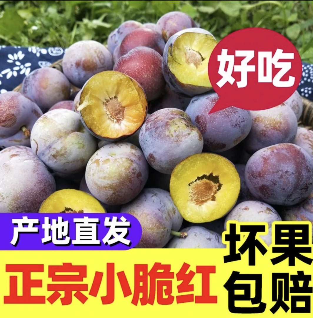 陕西林深别院果园直发脆红李脱骨李子新鲜脆甜李子小脆红5斤包邮