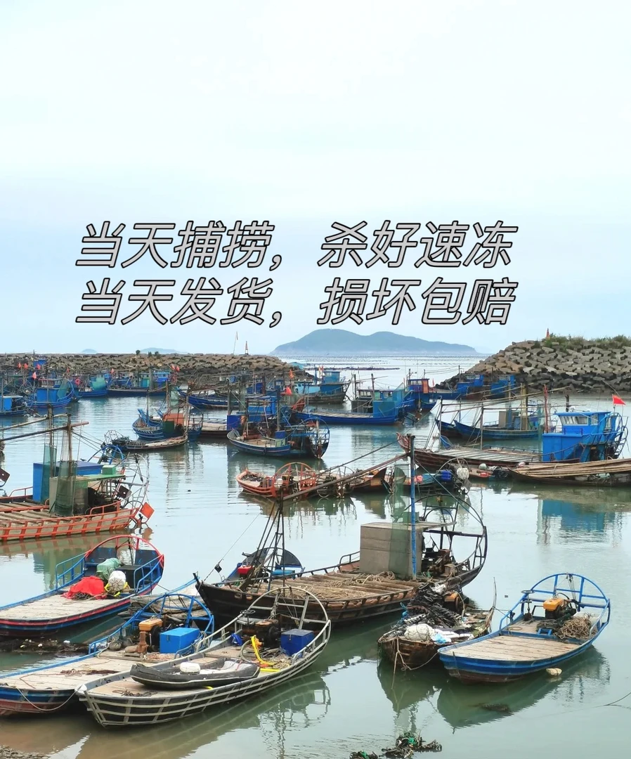 惠来神泉本港海产 套餐