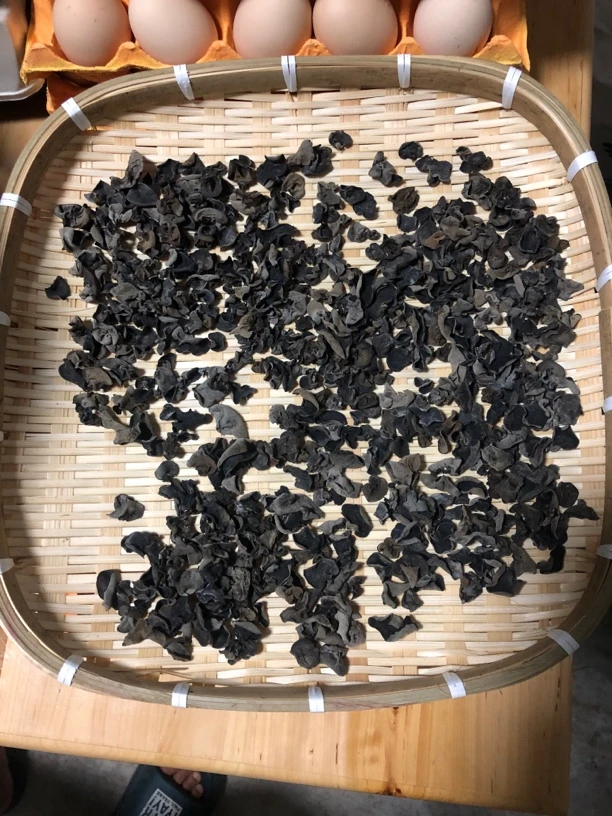 湖北长阳高山蔬菜!木耳