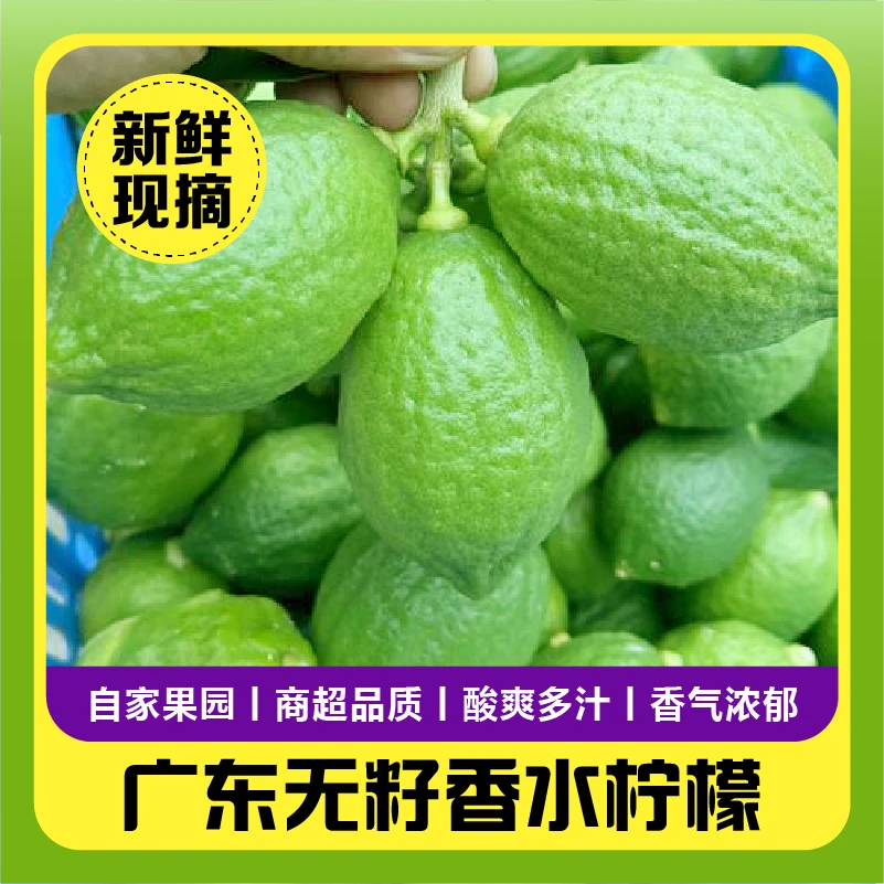 正宗广东香水柠檬薄皮无籽青柠檬一级新鲜大果酸宁檬当季新鲜水果