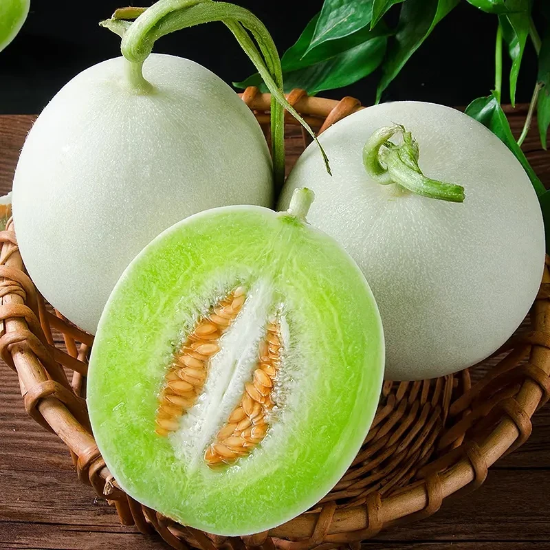 山东玉菇甜瓜冰淇淋甜带箱4.5-5斤装软糯香甜的玉菇甜瓜送勺子a