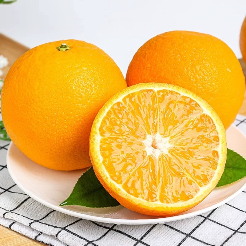 麻阳冰糖橙5斤单果60mm起应季水果.