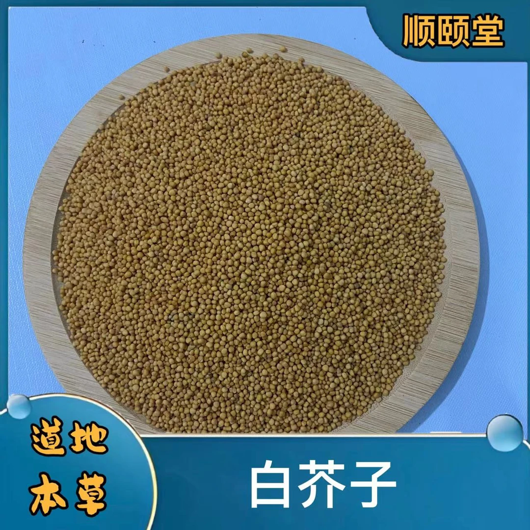 【白芥子莱菔子紫苏籽】三子养亲汤紫苏子