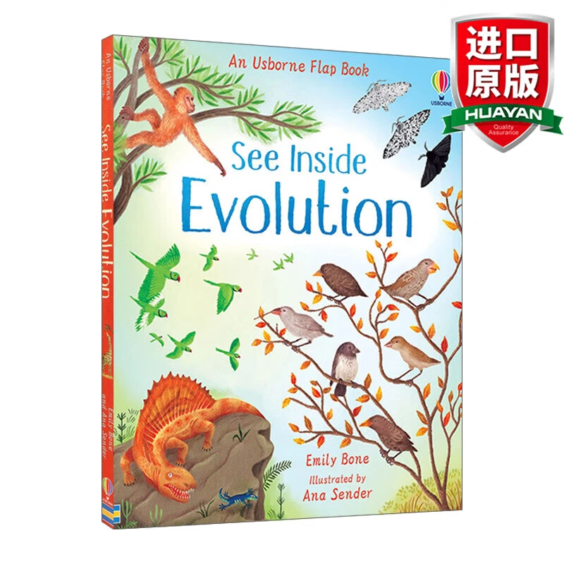 Usborne See Inside Evolution 英文原版 看里面 揭密进化论 大开