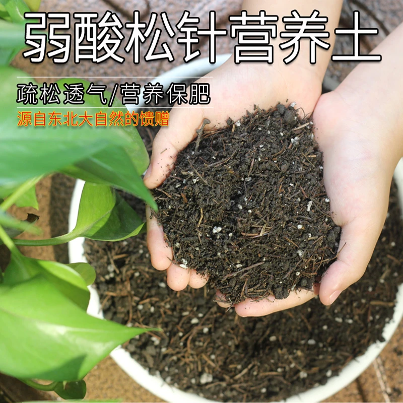 弱酸性腐熟松针营养土杜鹃栀子茉莉茶花月季专用营养土壤透气疏松