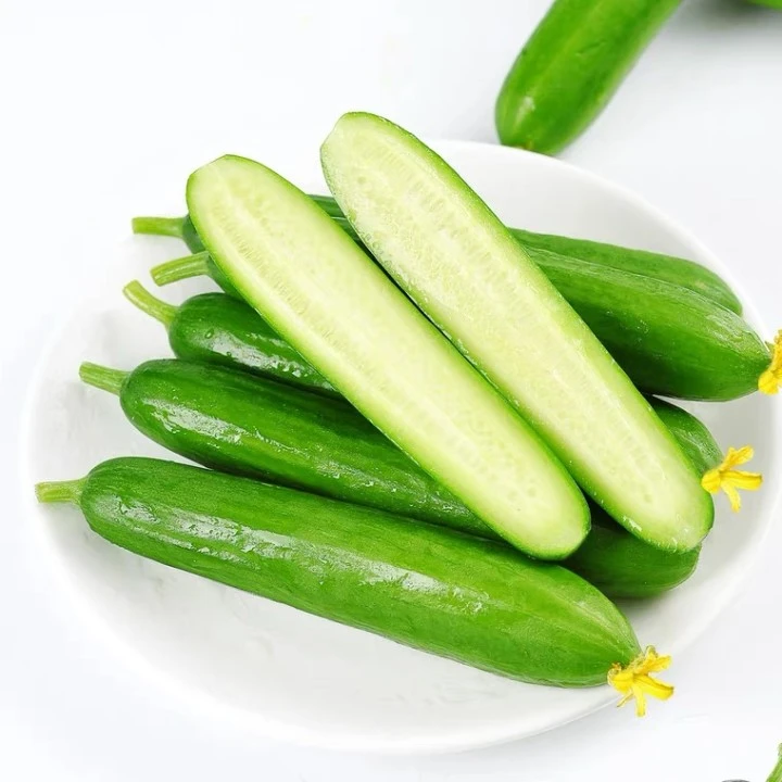 【优选】水果小黄瓜*500g