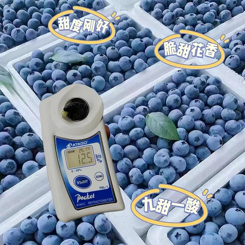 【到店自提】[云南精品大果/花香蓝莓]【脆香甜多汁】云南省
