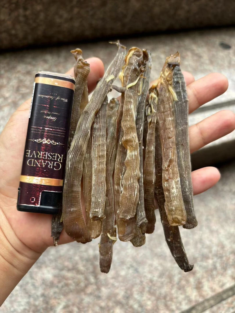 大号野生黑沙虫干净沙煮粥煮汤油炸原汁原味