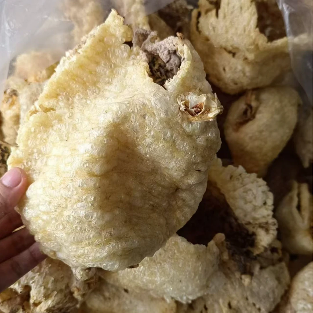 大号拔刺盐爆刺龟皮鱼皮养脾胃勒龟皮