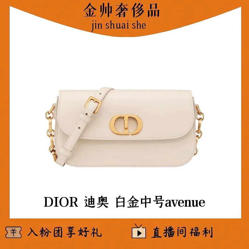 99新 DIOR/迪奥 99新 DIOR/迪奥 白金/中号/avenue/单肩包t/B4988