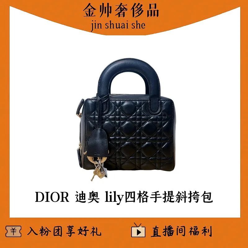 99新 DIOR/迪奥 lily/四格/手提斜挎包/单肩包B3987
