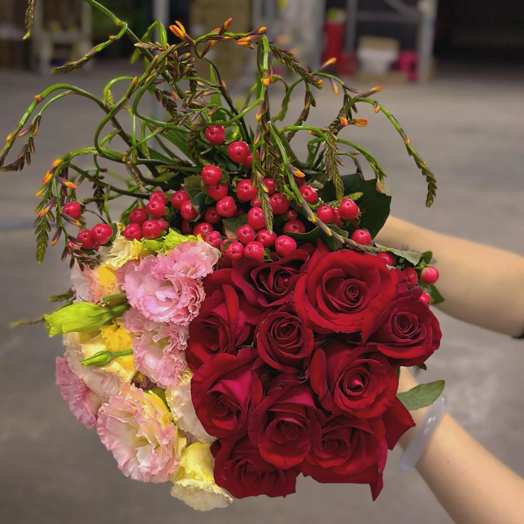 【源头优选】红玫瑰10枝+红豆+洋桔梗+配草 日常瓶插 鲜花 空运包邮
