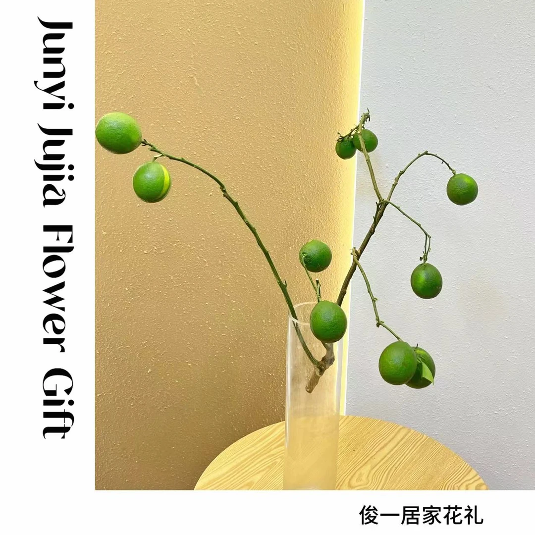 【俊一的花】青柠檬鲜切枝｜办公室内水养｜新鲜插花水培绿植野趣果材