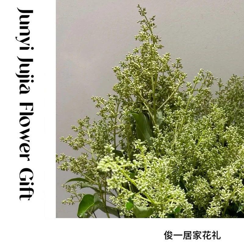 【米贞果】A级精品|小众氛围感花材高质量