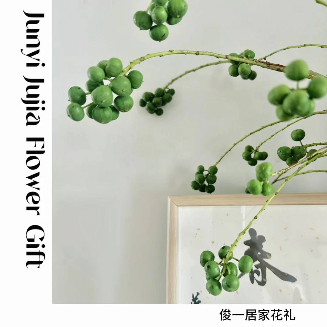 【俊一的花】高品质菩提果|禅意氛围|可做干花|小众氛围感鲜切花材