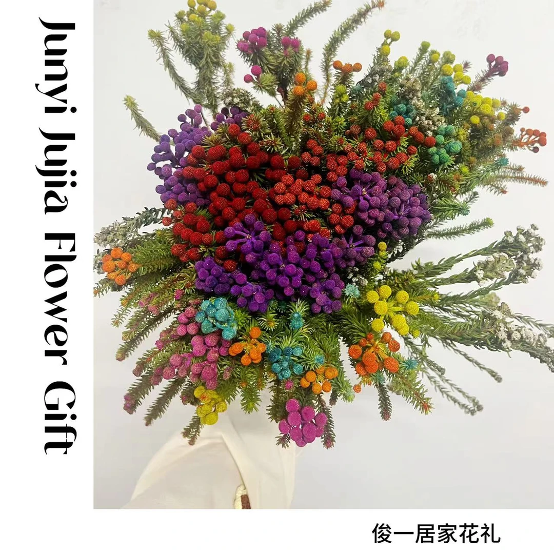 【俊一的花】彩色小珊瑚果花束/南非绿色珊瑚豆/小众花材可做干花