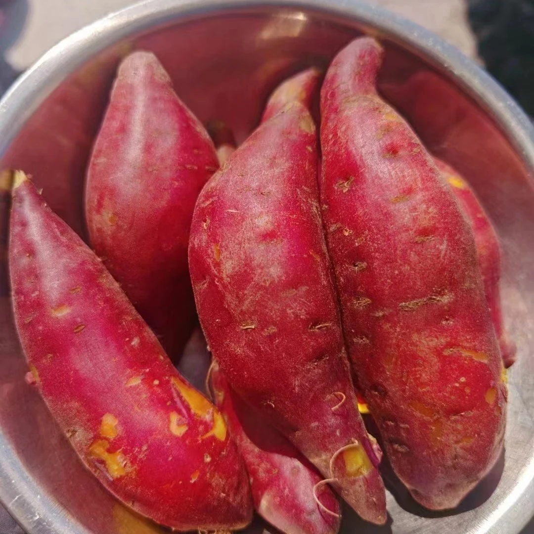 新鲜临安小香薯软糯香甜25元5斤