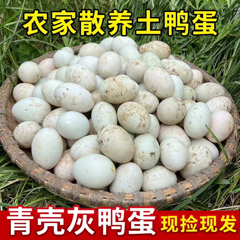 【青年灰鸭蛋】农家山林水库散养新鲜现捡现发青壳土灰鸭蛋生土鸭蛋