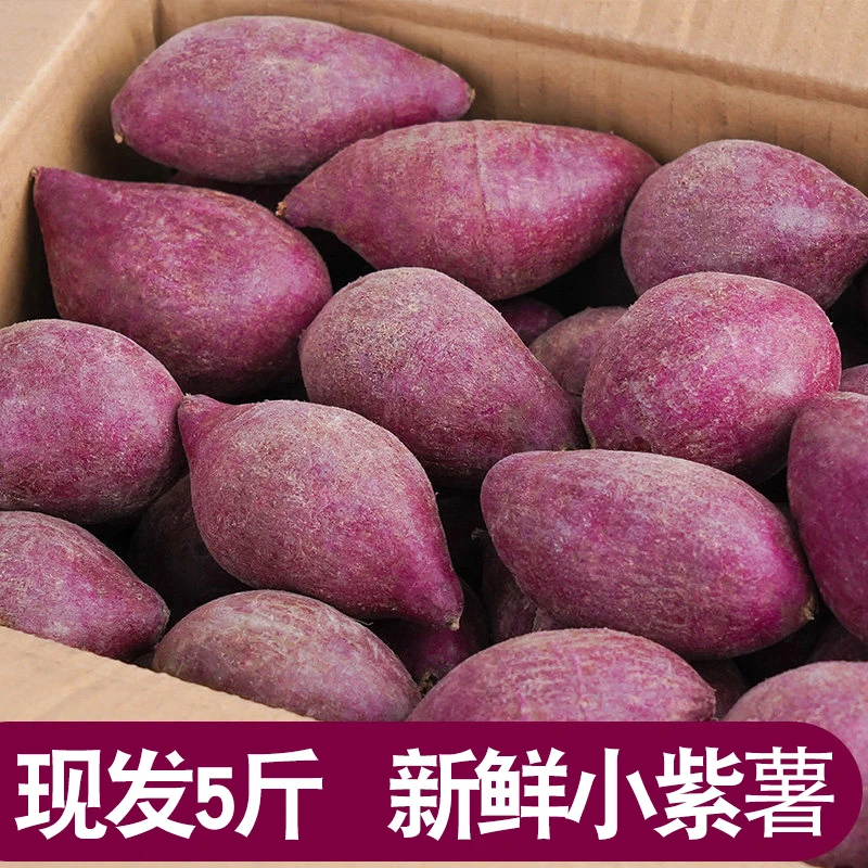 【新店半价】新鲜紫薯紫罗兰现挖现发沙地紫薯地瓜特惠价1/5/10斤