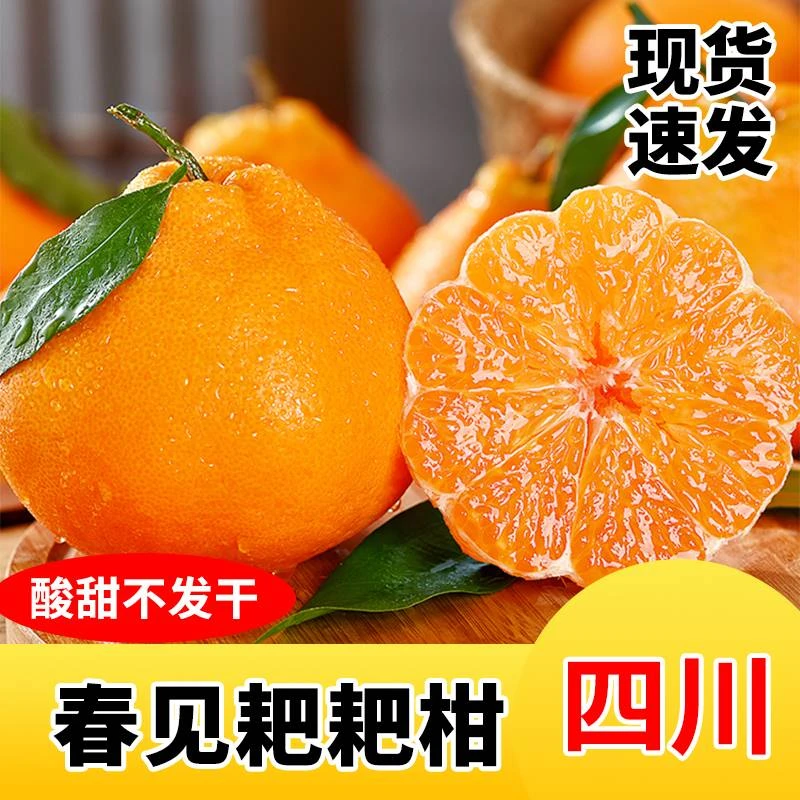 【小扬臻选】四川春见耙耙柑橘子水果当季丑八怪粑粑柑2斤4.1斤4.