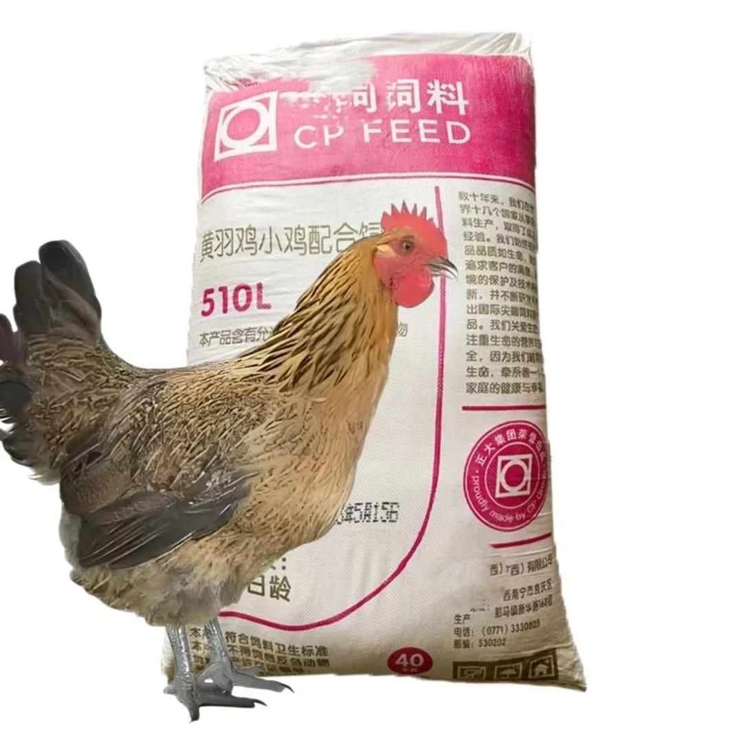 高产蛋青脚麻羽鸡养殖饲料