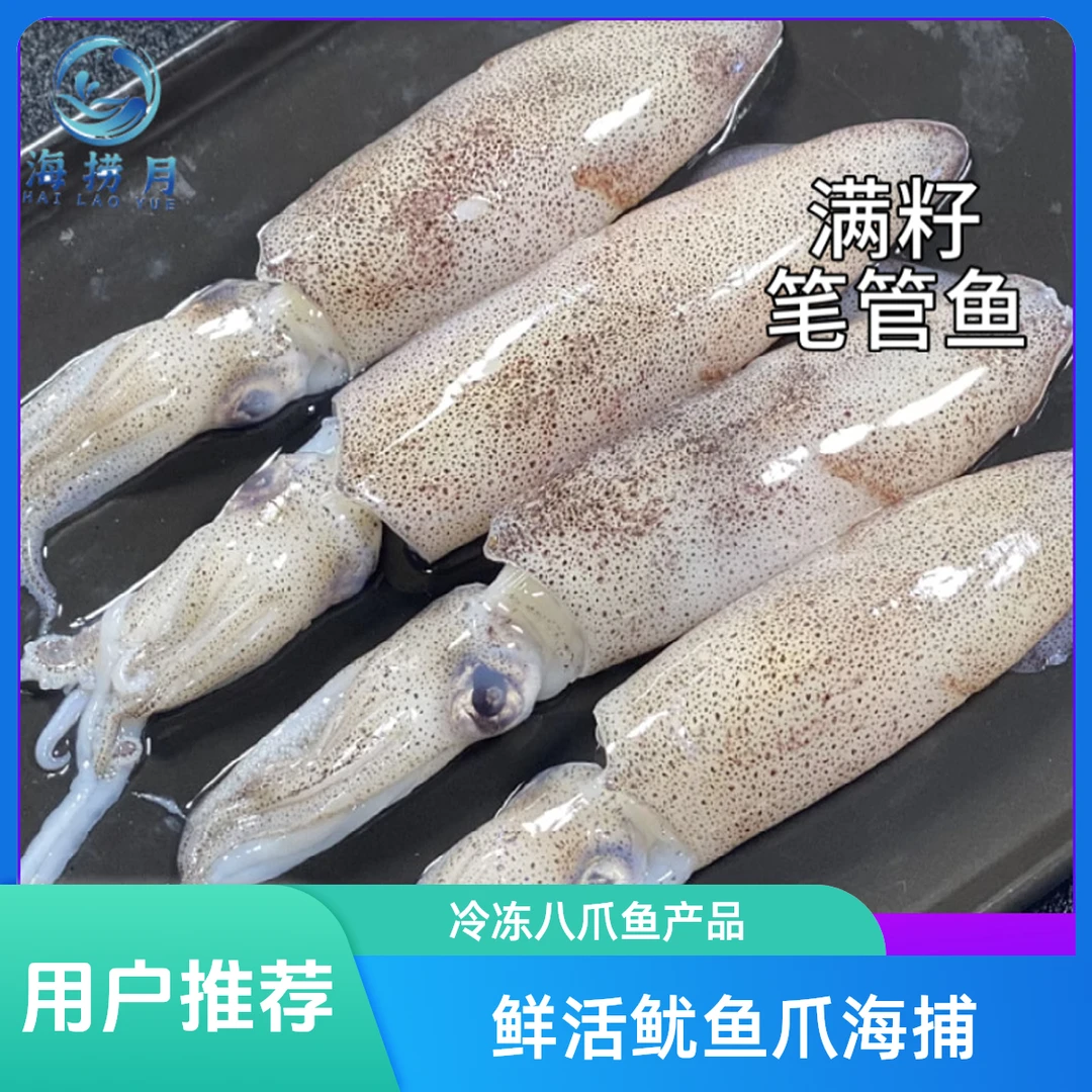 鱿鱼爪鱿鱼须八爪鱼鱿鱼头水产鲜活整只海产品海味大鱿鱼冷冻海捕