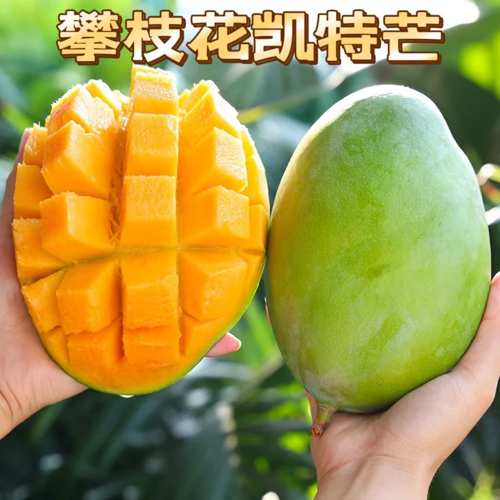 【需催熟】四川攀枝花凯特精品大芒果纯甜无丝无筋3斤5斤9斤包邮