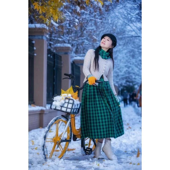 【一依定制】磨毛棉百褶压线格纹ins显瘦半身裙秋冬文艺格子百搭