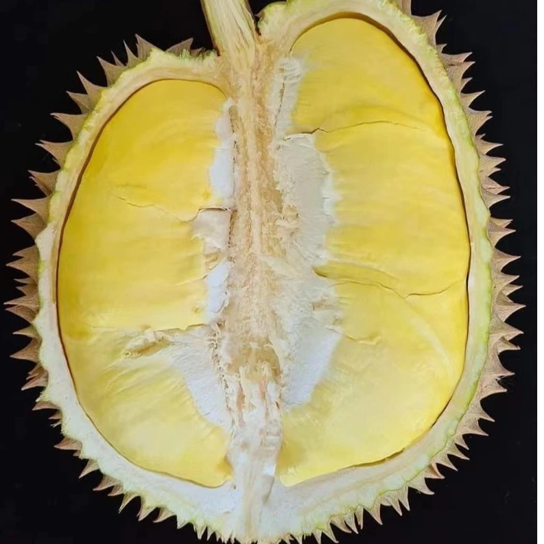 一物一拍