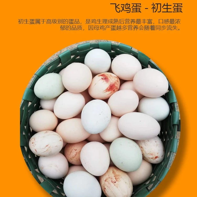 飞鸡蛋30枚【百川山鸡】品种品质不二之选,天然纯香,顺丰包邮