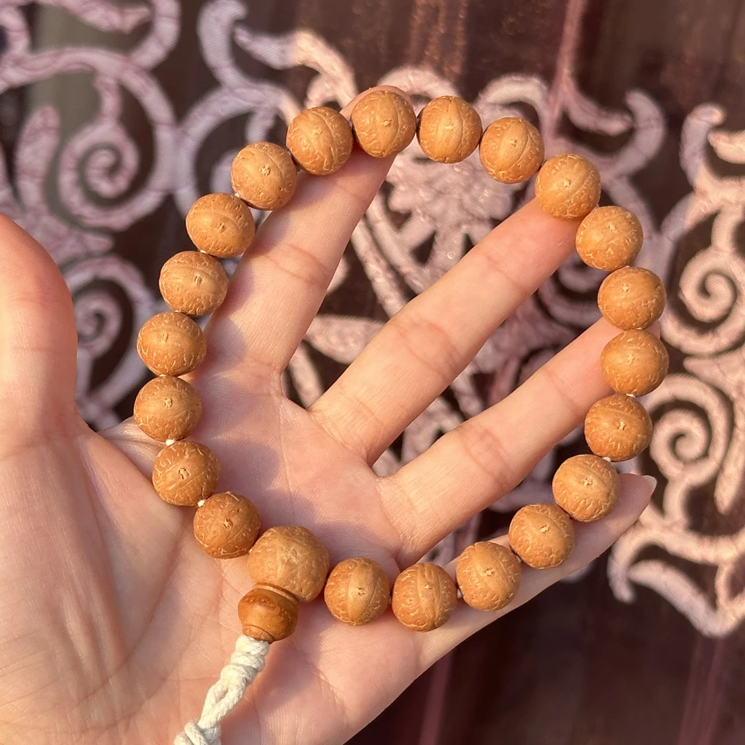 2024年新籽12尺寸凤眼菩提尼泊尔