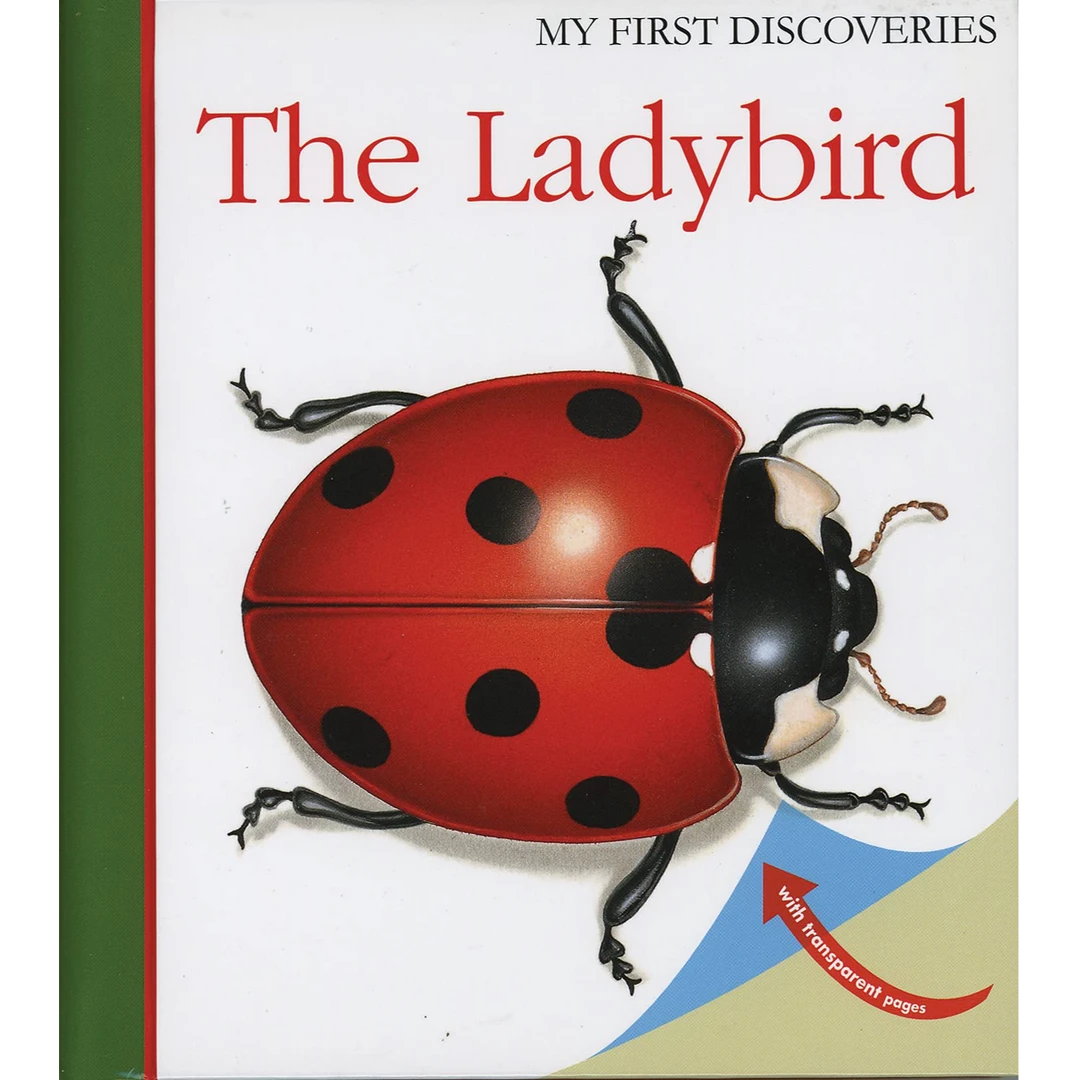 非点读 The Ladybird 瓢虫 胶片书