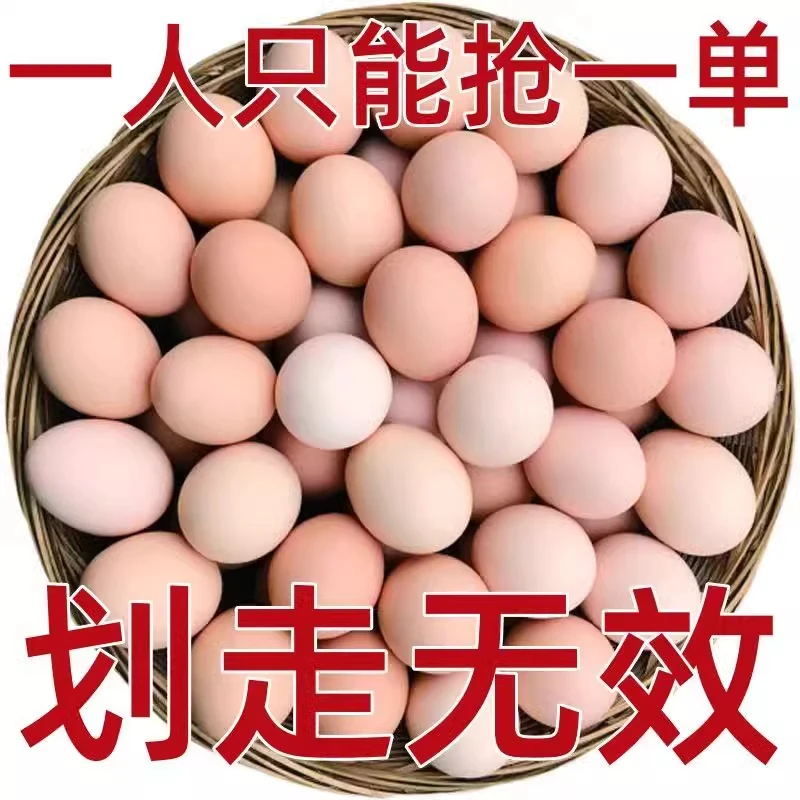 谷物蛋鸡蛋当日一整箱新鲜笨鸡蛋原生态柴鸡鸡蛋4-50枚农家土鸡蛋