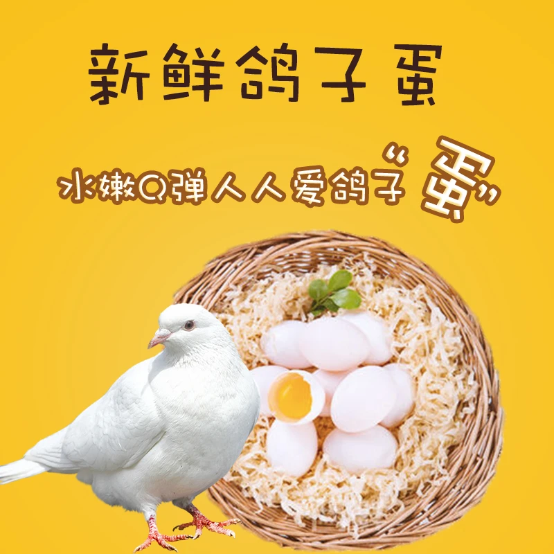 健康美味鸽子蛋新鲜鸽蛋农家散养现捡现发杂粮喂养孕产妇辅食10个