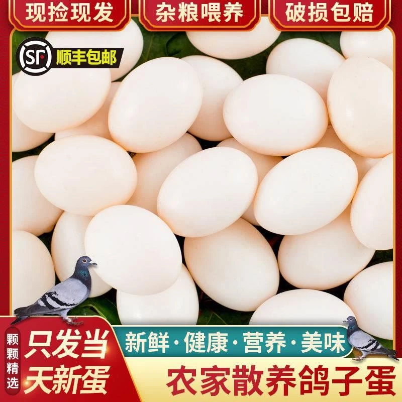 顺丰发货新鲜鸽子蛋宝宝孕妇营养辅食补品农草散养现捡现发10-50