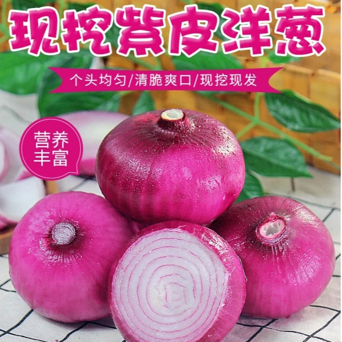 【主播补贴】河南水果洋葱 紫色清脆  香辣饱满 5/9斤精品大果