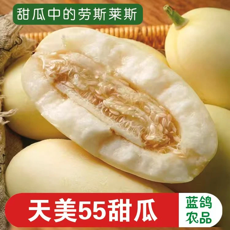 山东甜瓜天美55皮薄酥脆香甜新鲜采摘【顺丰包邮】