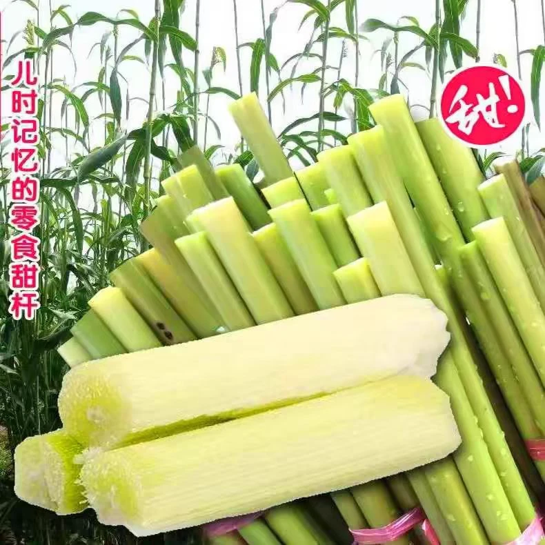 新鲜甜杆 甜芦粟到梢甜高粱甜棒芦稷芦穄小时候的味道童年2斤3斤