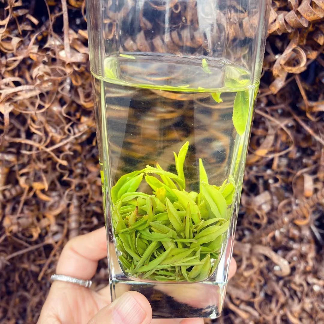 绿茶 青丝新茶上市 100g-500g