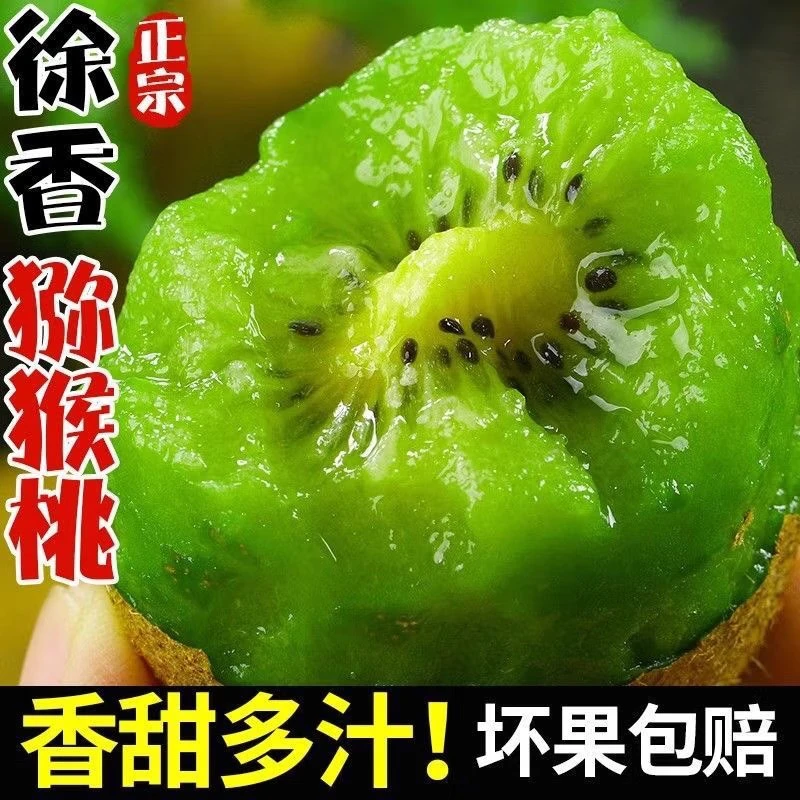 【绿心奇异果】陕西徐香猕猴桃绿心猕猴桃9-15枚新鲜水果YZB